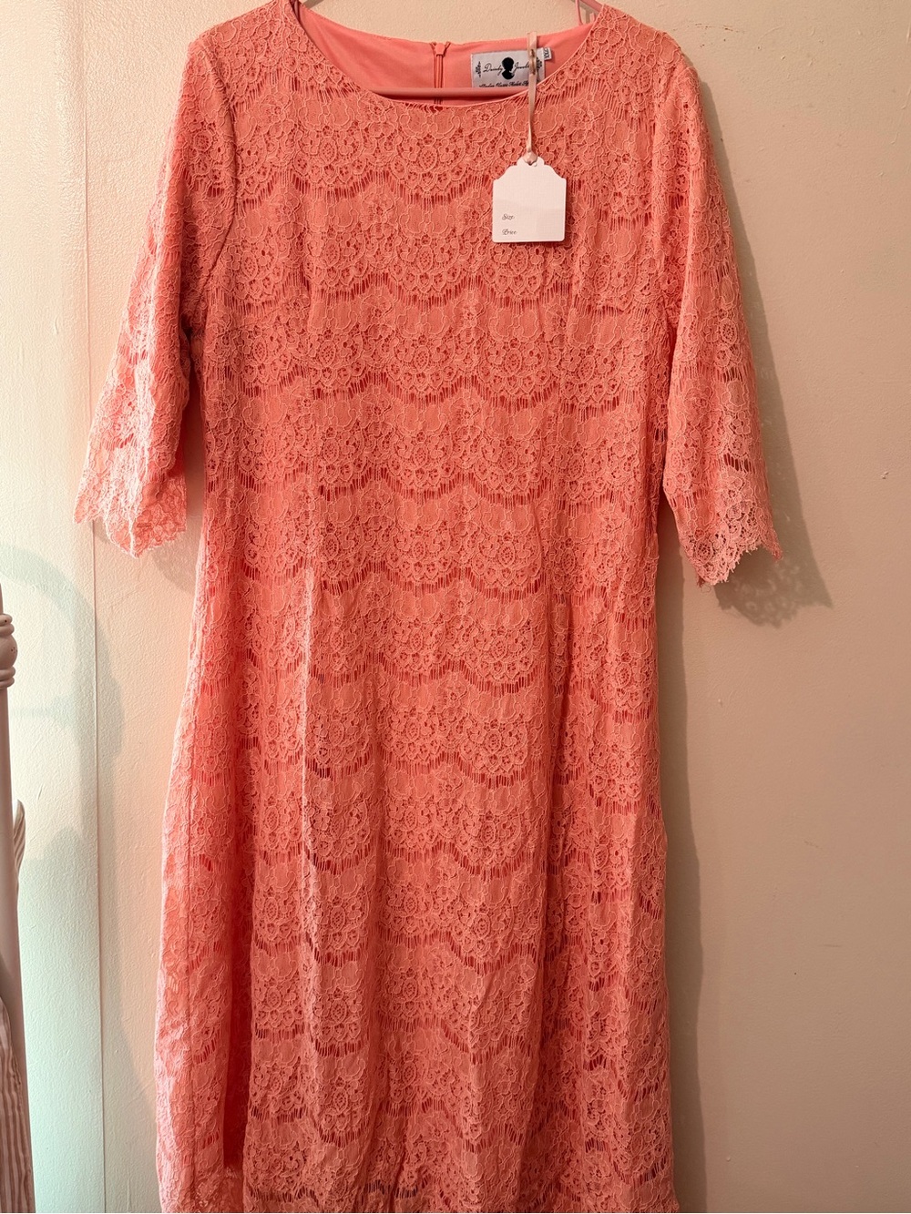 Dainty Jewells Coral Lace Shift Dress - Peachy Coral